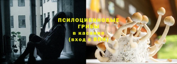 дживик Белоозёрский