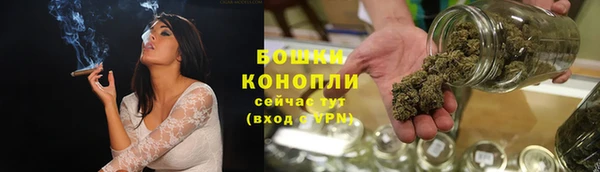 крисы Белокуриха