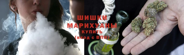apvp Богородицк