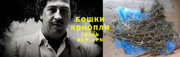 дживик Белоозёрский